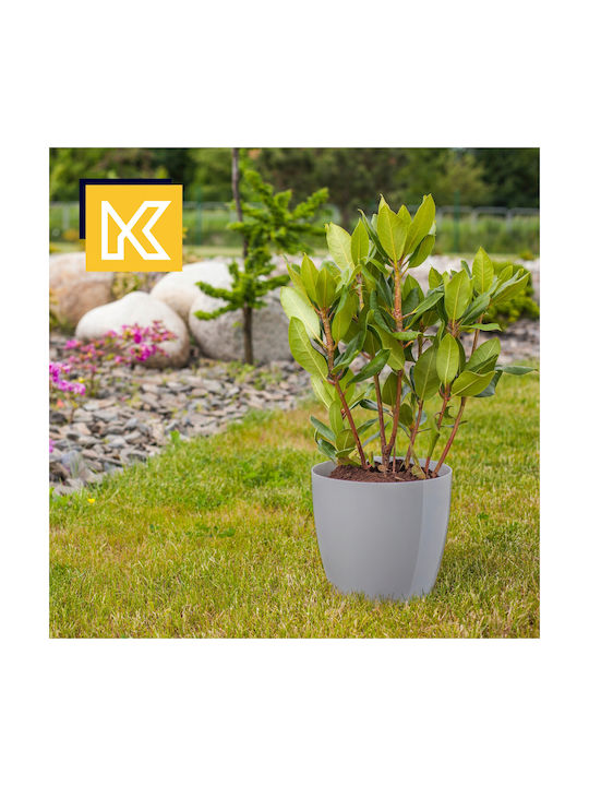Kadax 3x Pot 23cm Planter Saucer Gray