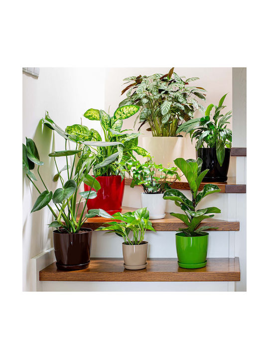 Kadax 3x Pot 23cm Planter Saucer Gray