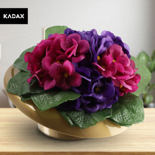 Kadax 