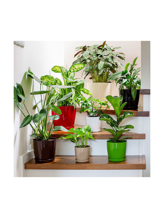 Kadax Γλάστρα Πλαστική Kadax Γλάστρα Πλαστική