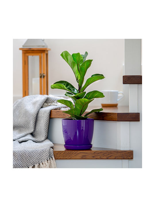 Kadax Plastic Flower Pot with Saucer 20cm Purple