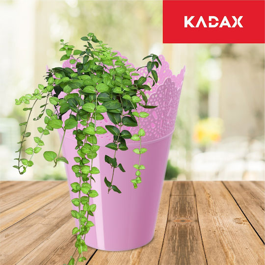 Kadax Flower Pot Cover 12cm Colors