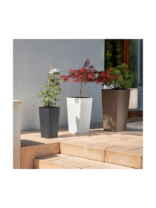Kadax Set 3 Planters Rattan Insert White 75cm