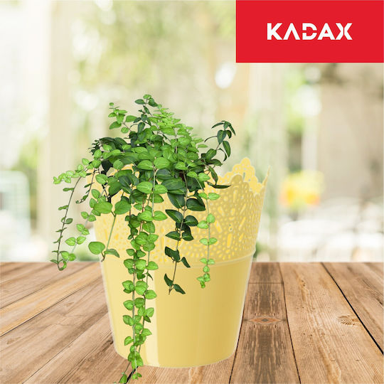 Kadax Blumentopf 16,5cm Farben