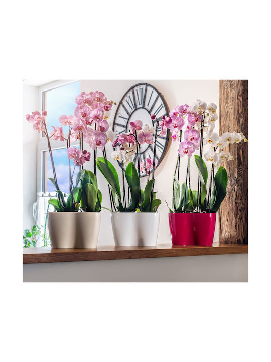 Kadax Flower Pot Cover Pot Insert 23cm