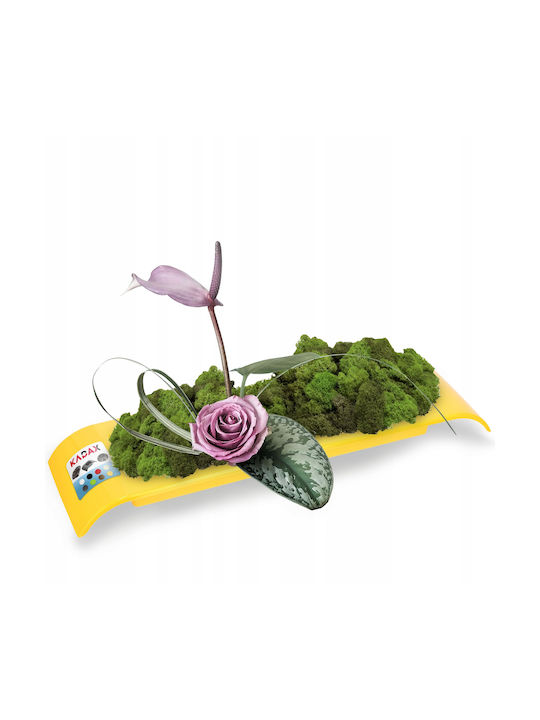 Kadax Flower Pot Cover for Ikebana Composition