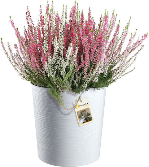 Kadax Flower Pot Eco White 30cm