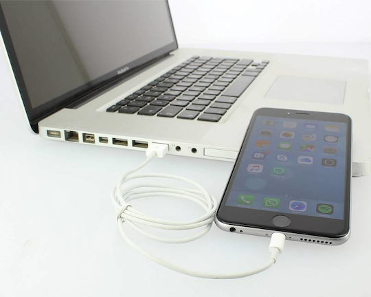 Pulse USB-A to Lightning Cable 1m (cr0031440)