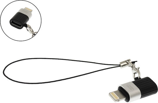 XO Nb149-d Konverter Blitzschlag männlich zu USB-C weiblich 1Stück