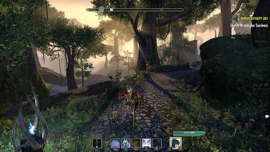 The Elder Scrolls Online Morrowind (Code in a Box) PC Game