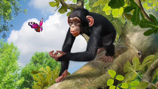 Zoo Tycoon Xbox One Game