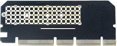 Karte PCIe in Port PCI-E