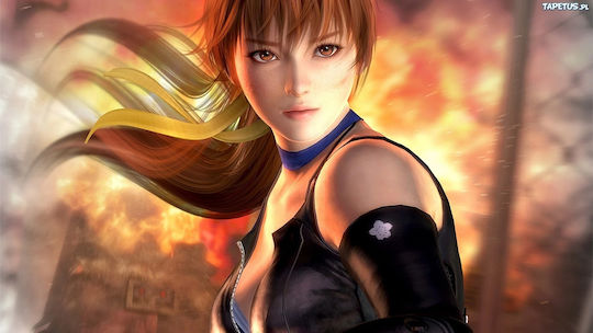 Dead or Alive: Dimensions 3DS Game