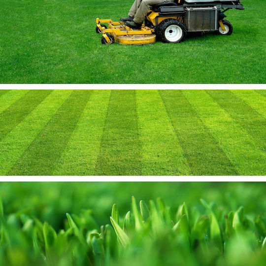 Kadax Universal Quick Thickening Grass 5kg 200m2