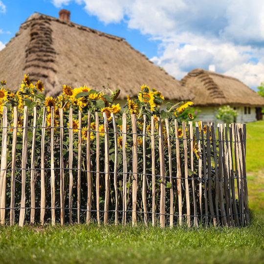Kadax Hazel Garden Fence 500x60 4-6cm