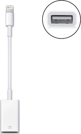 Treqa CA-1092 Konverter Blitzschlag männlich zu USB-A weiblich Weiß 2Stück
