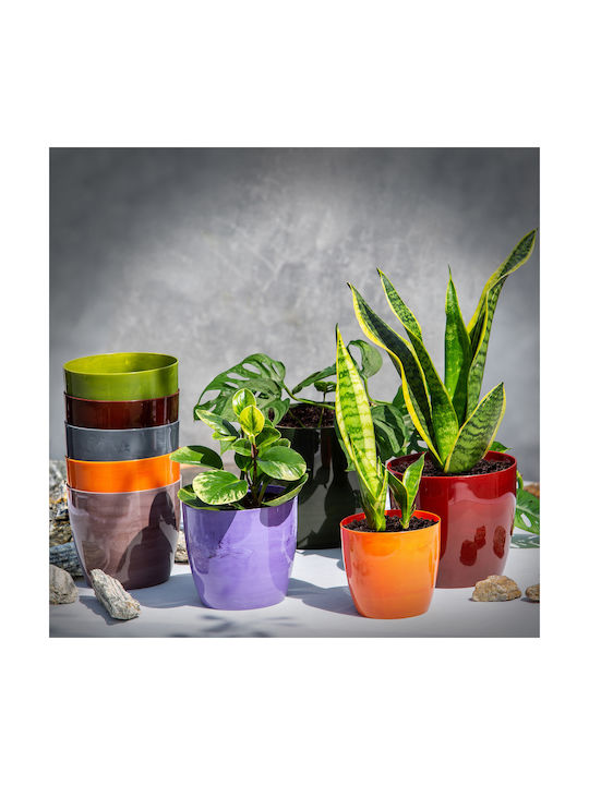 Kadax Pot Plastic 14x14cm.
