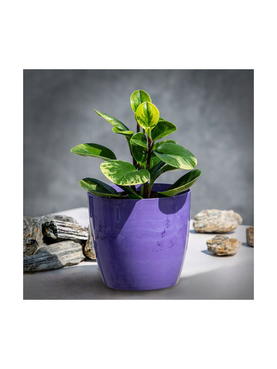 Kadax Topf Kunststoff Purple Marble 16x16cm.