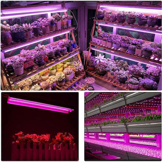 Lampa dublă pentru creșterea plantelor Flippy 50 cm Tehnologie LED T5 Nu afectează plantele Potrivită pentru întregul ciclu de creștere Multicolor