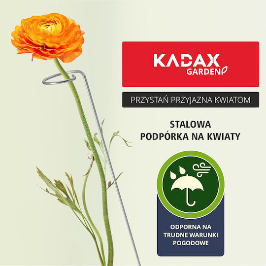 Kadax Stützhalter Pflanzen Blumen Rosen Stahl 60 cm
