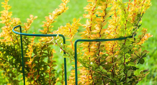 Kadax Plant Support Flowers Large Green Metal Clamp 3x90 + 3x115cm
