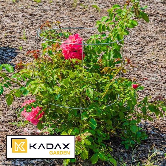 Градинска опора Kadax 90см за растения, 2бр