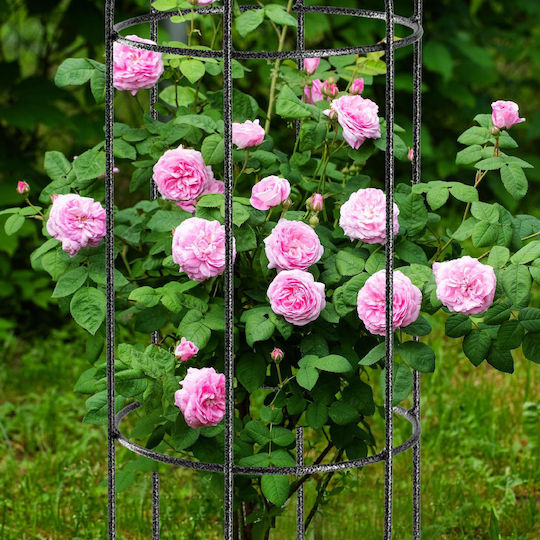 Kadax Garden Pergola Support Flowers Plants 100cm