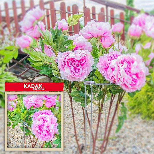 Kadax Plant Support Clamp Flower Support 75cm