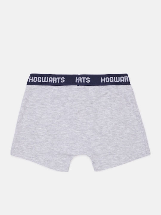 Harry Potter Kinder-Boxershorts Grey