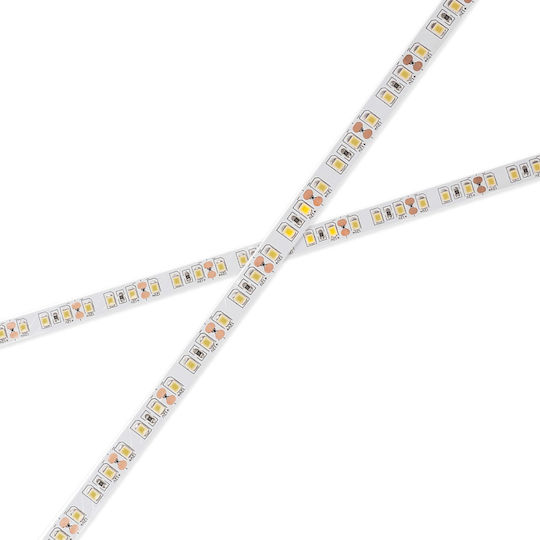 Blaupunkt Led Tape Pro Line 25m 12w/m Warm White