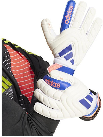 adidas Adults Goalkeeper Gloves White