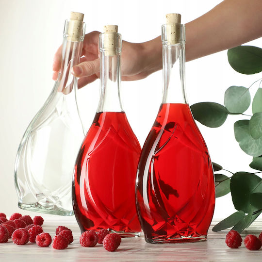 Kadax Set 6 Bucăți Vaze Utilizare Generală cu Plută Sticlă Transparentă 500ml 6 Bucăți