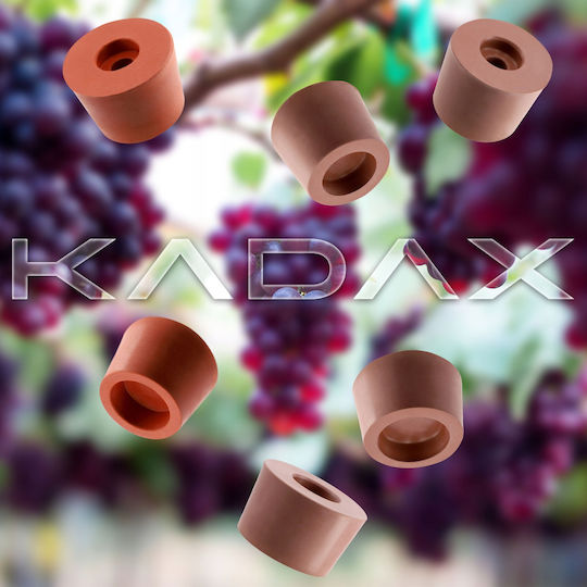 Kadax Νταμιτζάνα 32840 10lt