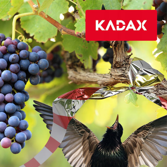 Kadax Abwehrband Vögel 50m