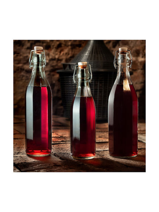 Kadax Flasche Wasser Glas mit Korken Transparent 1000ml 3 Stück