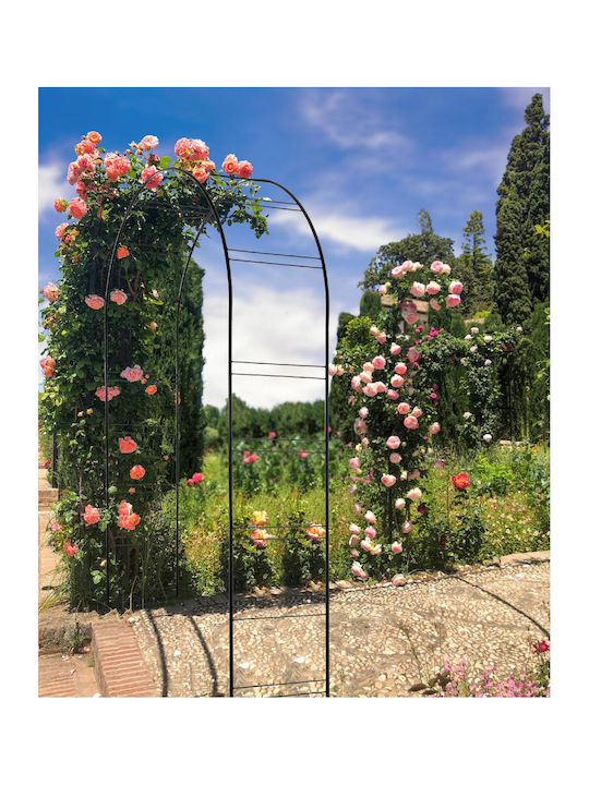 Arch de Grădină în Culoare Negru 1buc