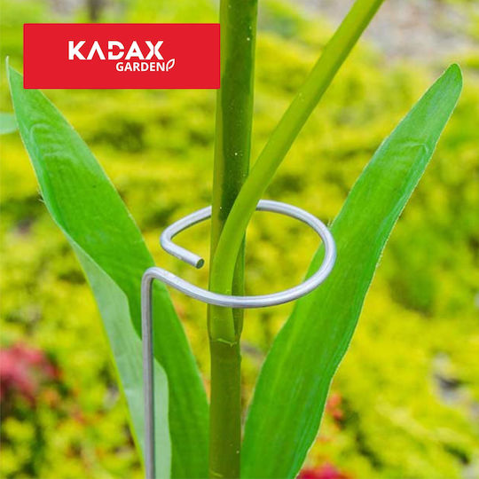 Trandafir Argintiu 90cm Kadax