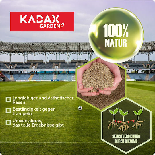 Kadax Семена Orange 10kg