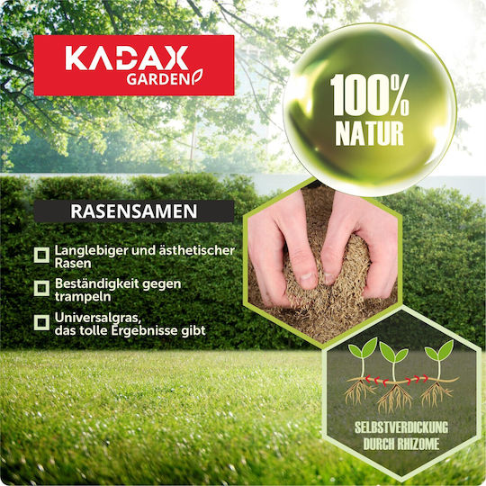 Kadax Семена Orange 1kg