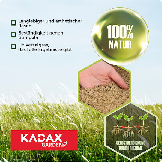 Kadax Samen 5kg