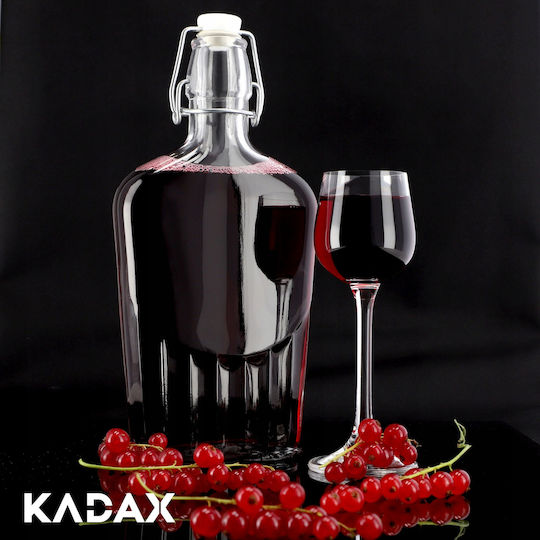 Kadax Μπουκάλι Νερού Γυάλινο με Κλιπ Διάφανο 500ml 6 Τεμάχια