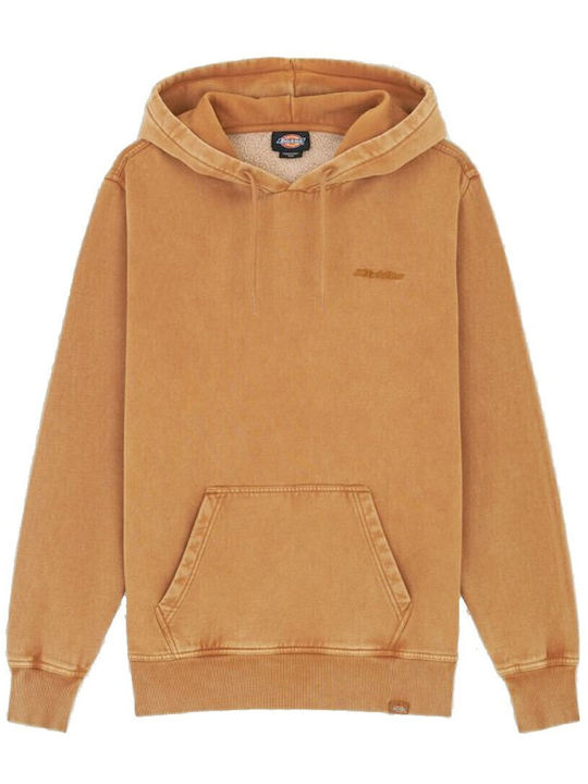 Sweatshirt with Hood Brown