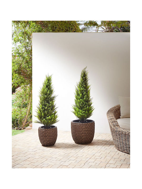 Set 2 Brown Rattan Flower Pots Berberis