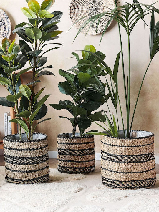 Set 3 Natural Seagrass Flower Baskets Black Rasbora