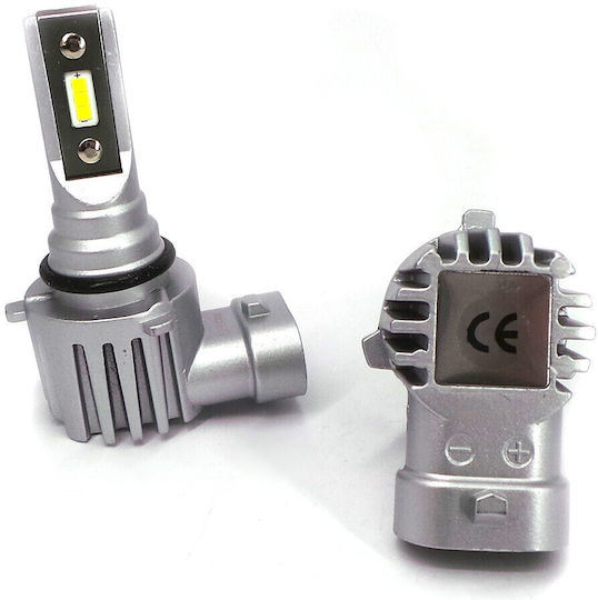 Led H10 9v-30v Canbus Csp Bulbs Set New