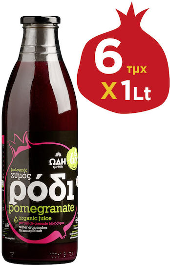 Odi sto Rodi Fructopot organic Suc organic Rodii de rodie Fără zahăr 1000ml 6buc 2588-1