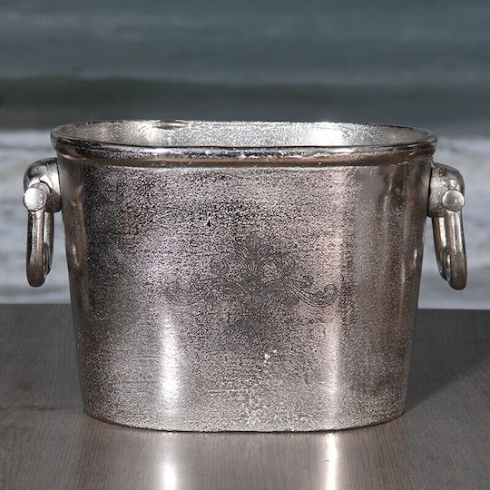 Einfache Champagners Aluminium mit Abmessungen 35x20x22cm Oval mit Design