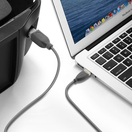 LinQ USB 2.0 Кабел USB-A мъжки - USB-B мъжки Сив 3м