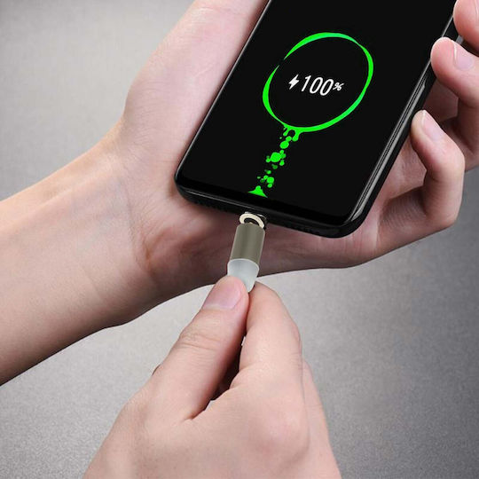 Avizar Braided / Magnetic USB 2.0 Cable USB-C male - USB-A Ασημί 1m