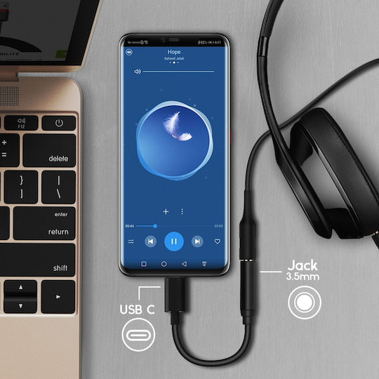Avizar USB-C Männlich zu 3.5mm Weiblich Konverter 1 Stück USBC-35-BK